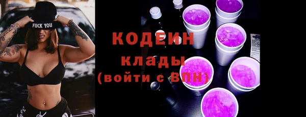 прущие грибы Арсеньев