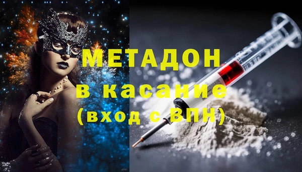 прущие грибы Арсеньев