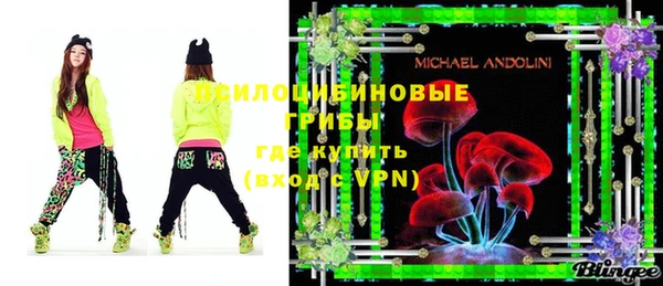 бошки Надым