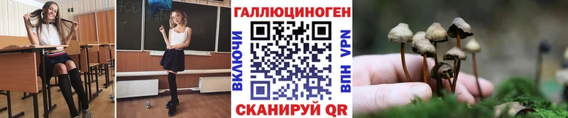 Псилоцибиновые грибы GOLDEN TEACHER  Североуральск 